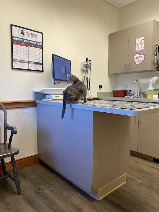 Broadview Animal Hospital of Rochester Picture 2