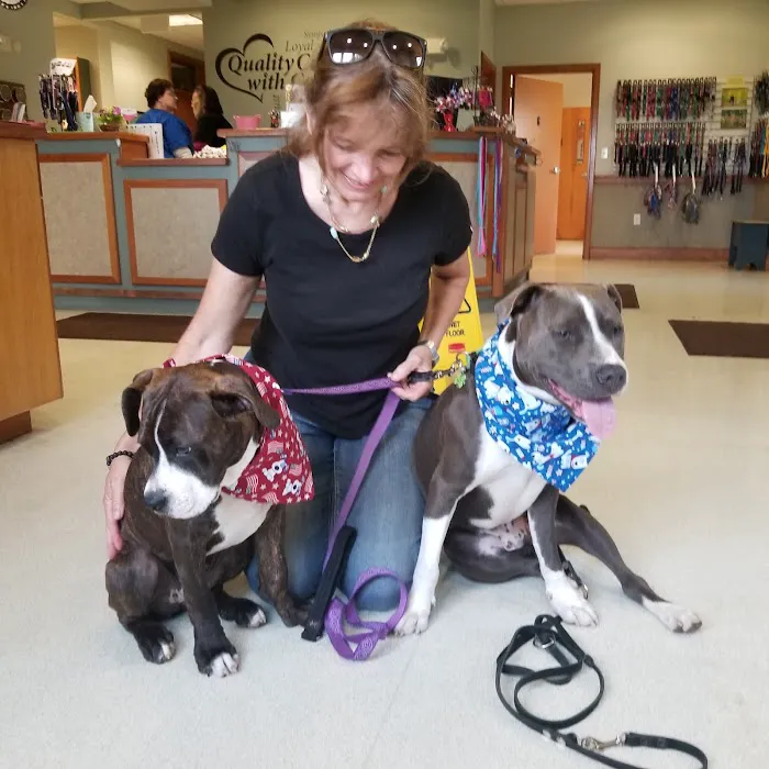 Broadview Animal Hospital of Rochester Picture 7