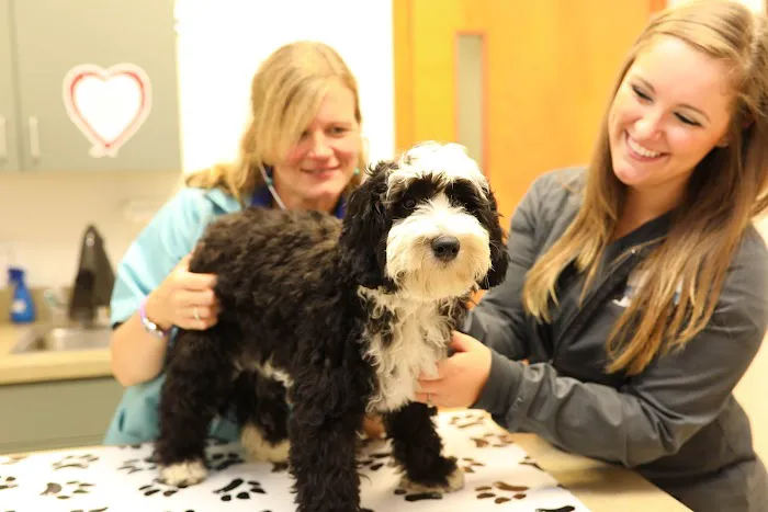 Broadview Animal Hospital of Rochester Picture 6