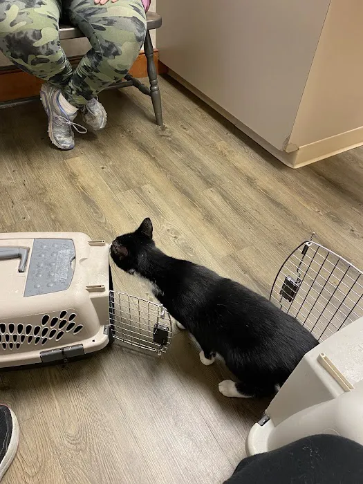 Broadview Animal Hospital of Rochester Picture 4