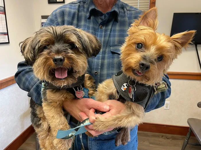 Broadview Animal Hospital of Rochester Picture 10