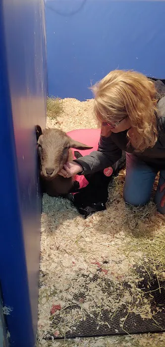 Myhre Equine Clinic Picture 1