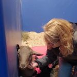 Myhre Equine Clinic