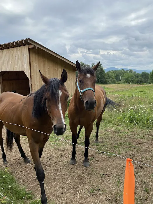Myhre Equine Clinic Picture 2