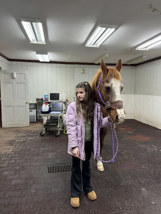 Myhre Equine Clinic Picture 3