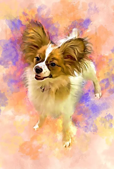 Candray Pet Care Center Picture 3