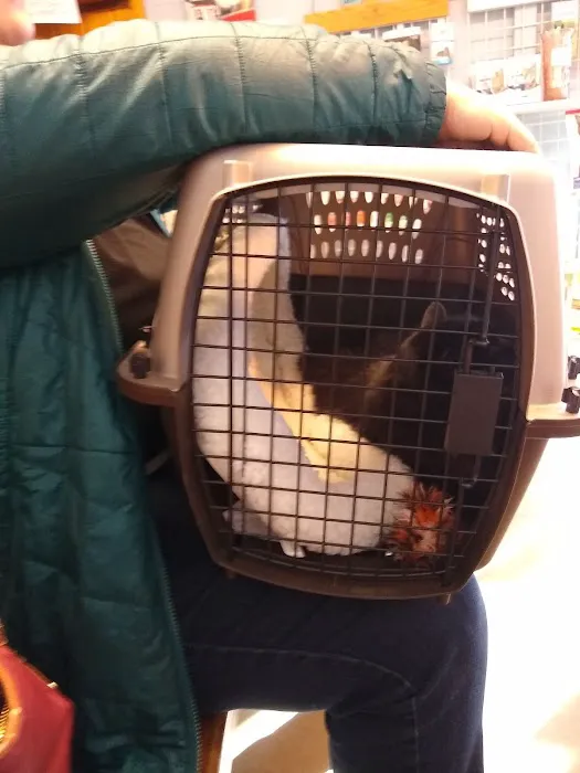 Candray Pet Care Center Picture 8