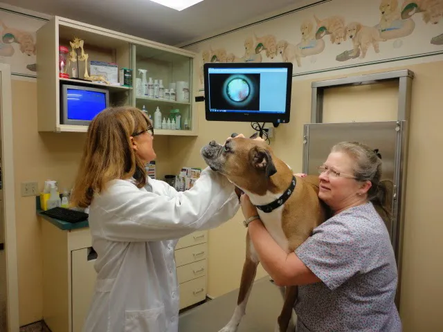 Raymond Animal Hospital Picture 4
