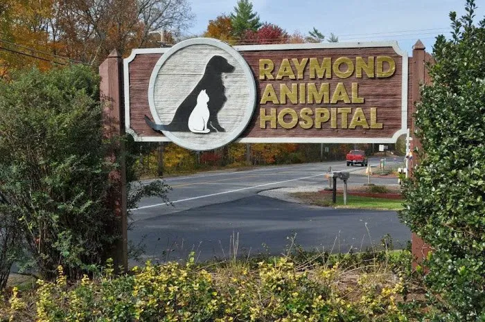 Raymond Animal Hospital Picture 5