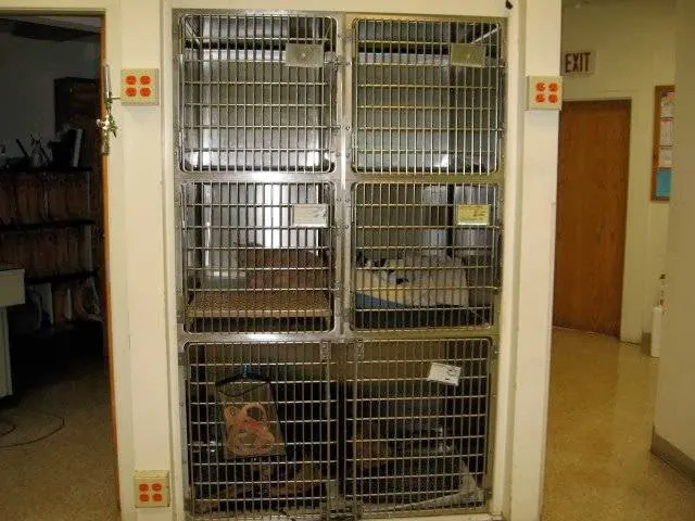 Raymond Animal Hospital Picture 7