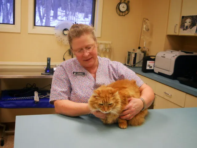 Raymond Animal Hospital Picture 8