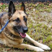 Fryeburg Veterinary Hospital ico