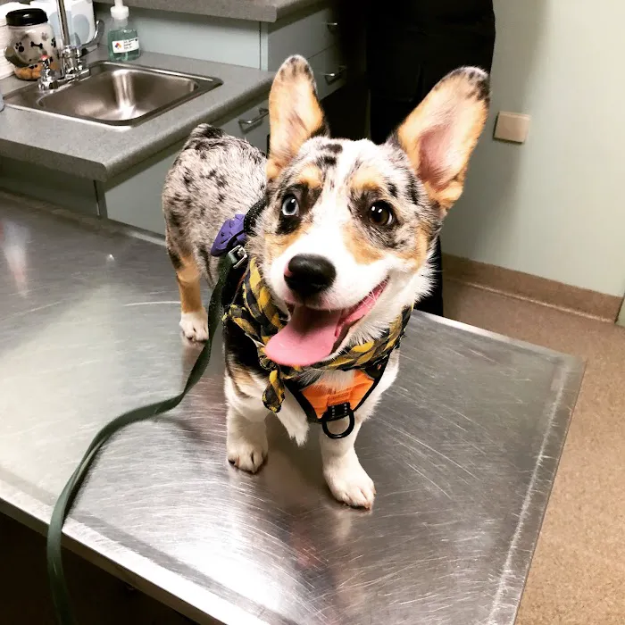 Fryeburg Veterinary Hospital Picture 3