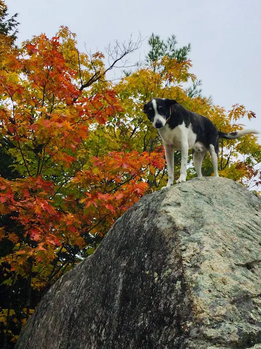 Fryeburg Veterinary Hospital Picture 6