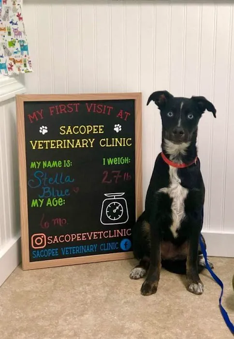 Sacopee Veterinary Clinic Picture 1