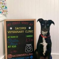 Sacopee Veterinary Clinic ico