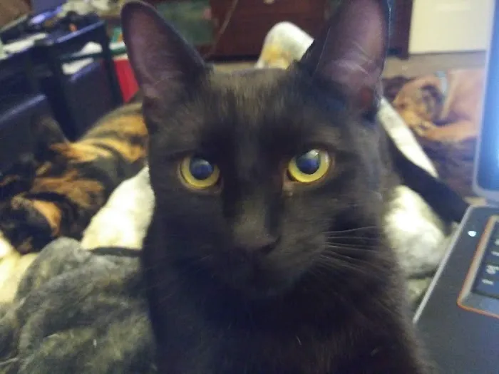 Sacopee Veterinary Clinic Picture 7