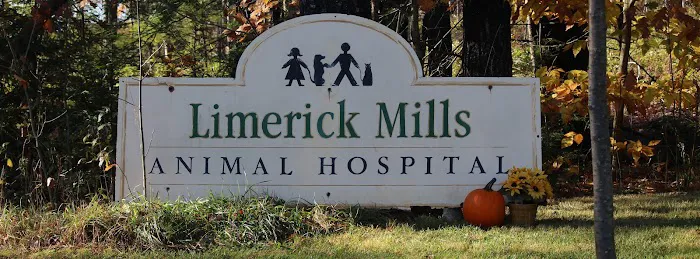 Limerick Mills Animal Hospital Private Vet Care Picture 10