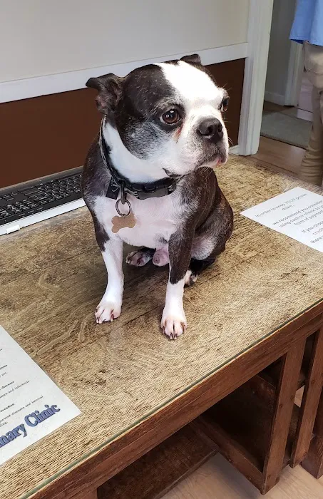 Smiley Veterinary Clinic Picture 1