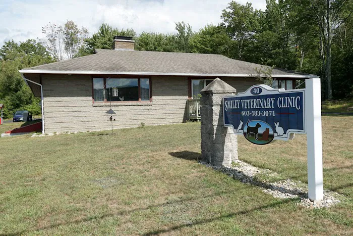 Smiley Veterinary Clinic Picture 5