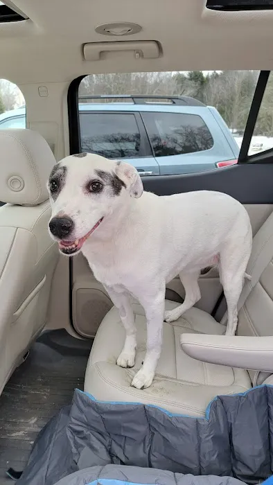 ARK Animal Homecare, PLLC Picture 1