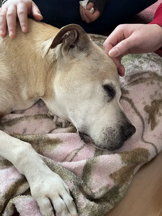 ARK Animal Homecare, PLLC Picture 8
