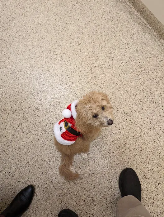 Ridge Animal Hospital Picture 4