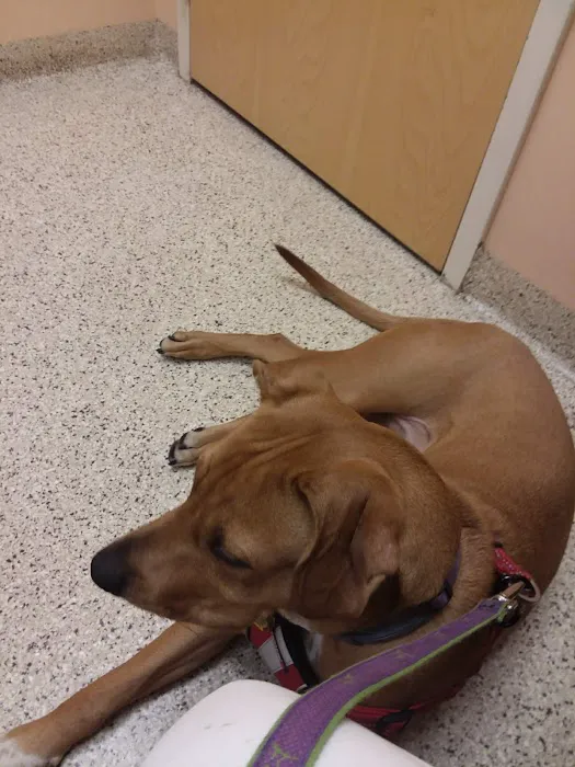 Ridge Animal Hospital Picture 1
