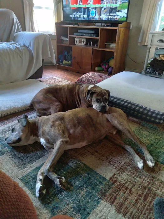 Ridge Animal Hospital Picture 8