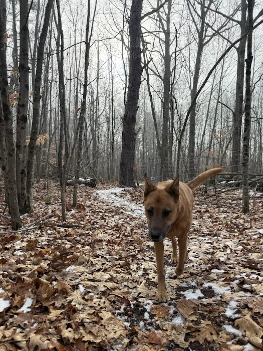 Alfred Waterboro Veterinary Hospital, PC Picture 4