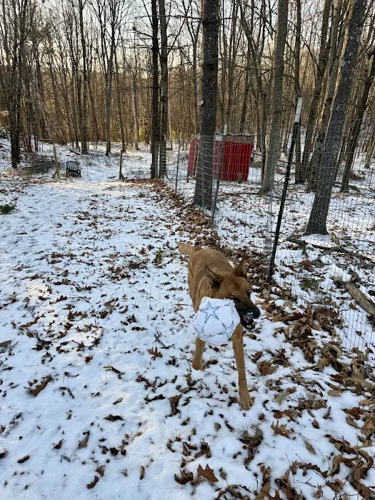 Alfred Waterboro Veterinary Hospital, PC Picture 5