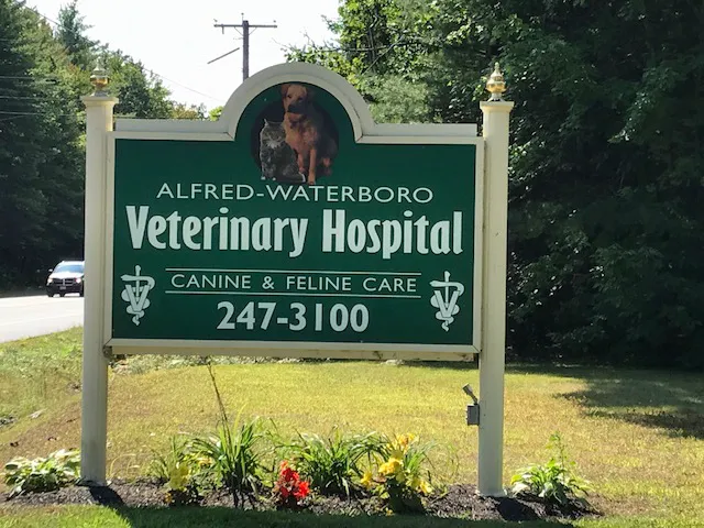 Alfred Waterboro Veterinary Hospital, PC Picture 10