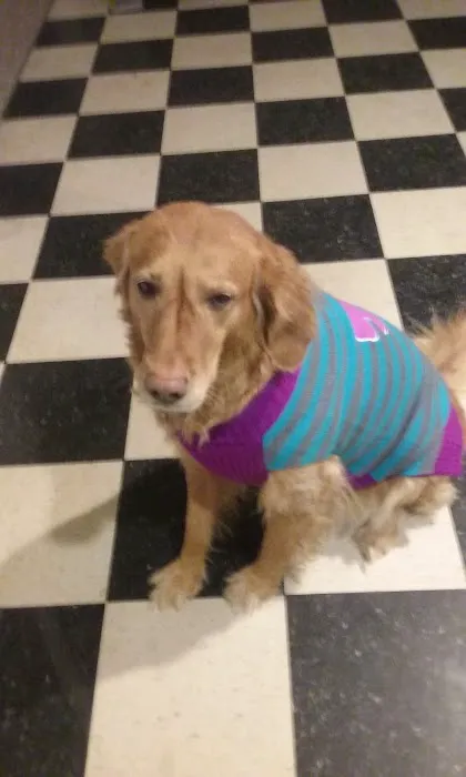Alfred Waterboro Veterinary Hospital, PC Picture 8