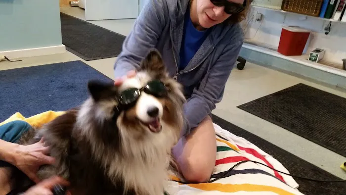Animotion Animal Rehabilitation Picture 3