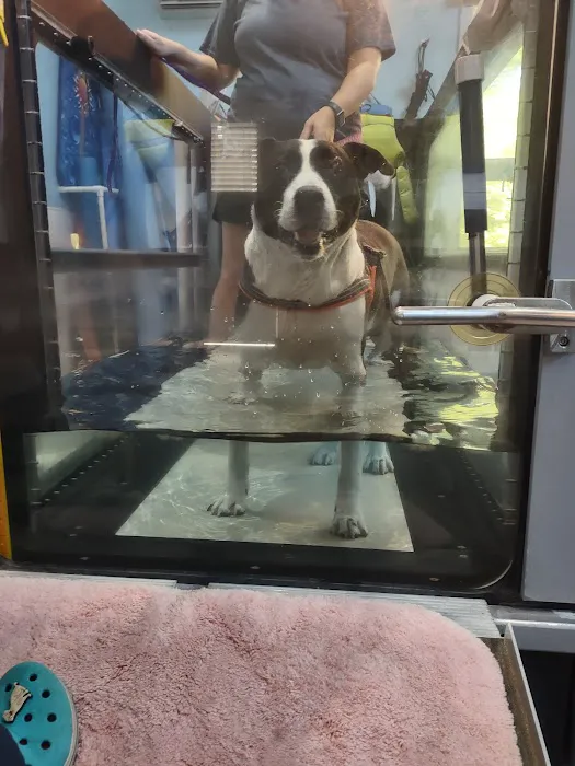 Animotion Animal Rehabilitation Picture 6