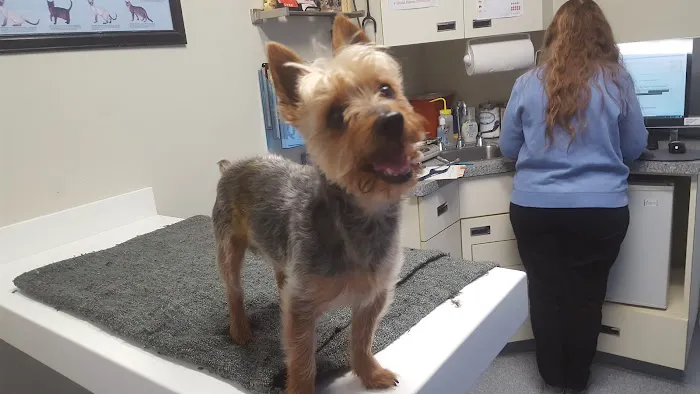 VCA Lloyd Animal Hospital Picture 4