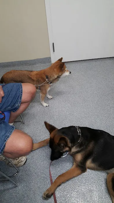 VCA Lloyd Animal Hospital Picture 5