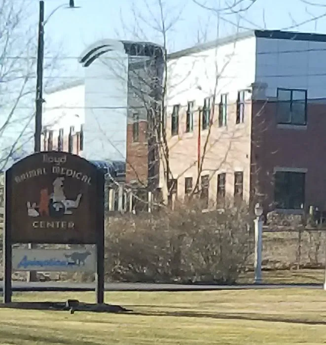 VCA Lloyd Animal Hospital Picture 8