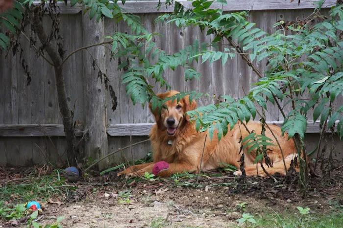 Bristol County Animal Clinic-Jenna Dale, D.V.M Picture 5