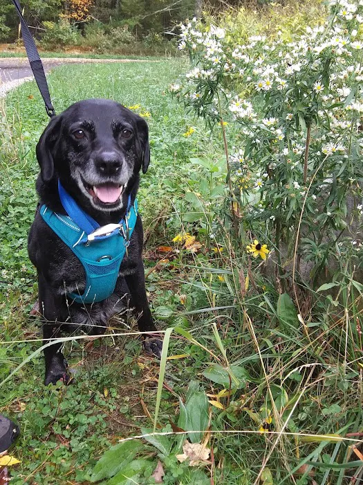 Bristol County Animal Clinic-Jenna Dale, D.V.M Picture 7