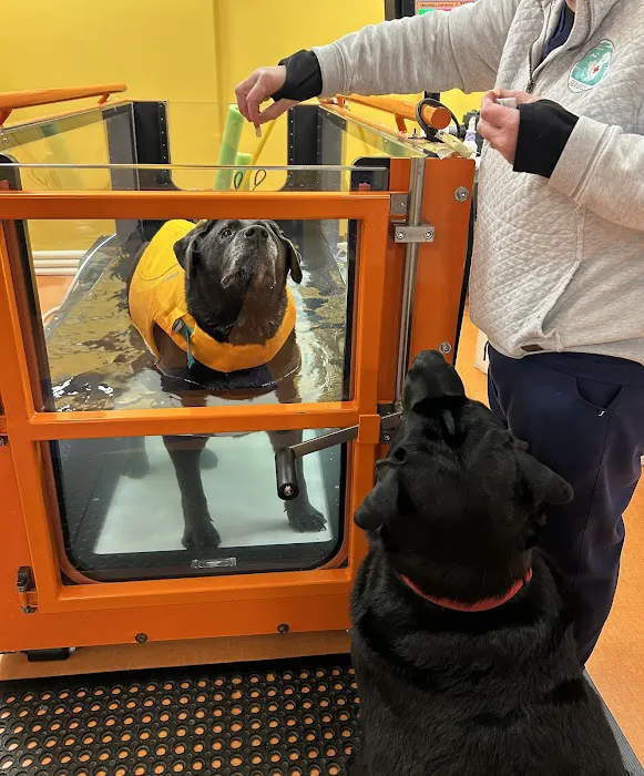 Sea Legs Integrative Veterinary Health Picture 2
