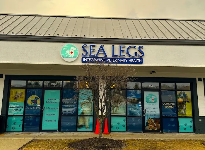 Sea Legs Integrative Veterinary Health Picture 5