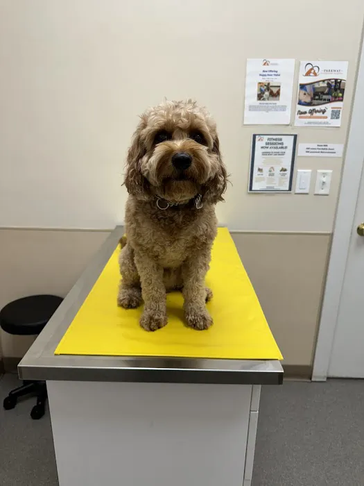 Parkway Veterinary Hospital Picture 3