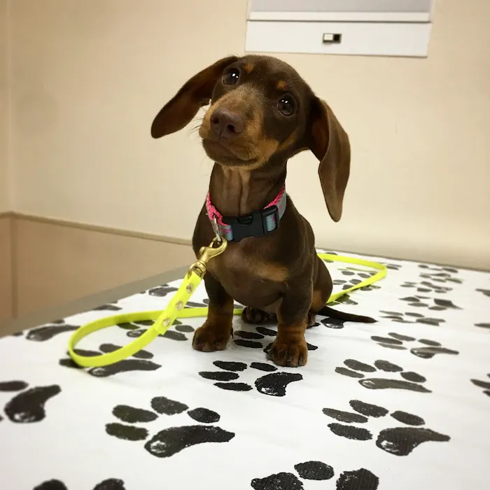 Parkway Veterinary Hospital Picture 7