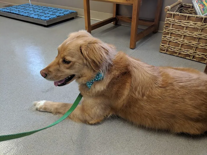 Parkway Veterinary Hospital Picture 10