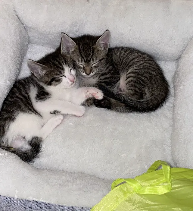 Vetco Total Care Animal Hospital Picture 5