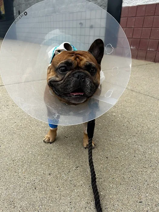 Vetco Total Care Animal Hospital Picture 2