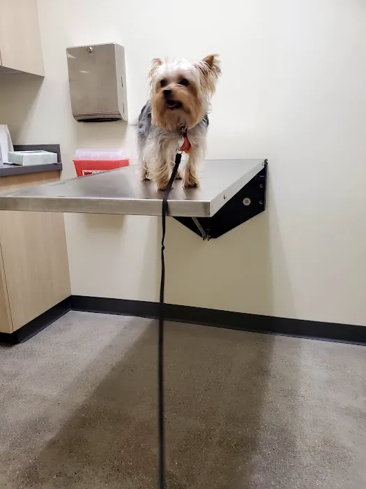 Vetco Total Care Animal Hospital Picture 3