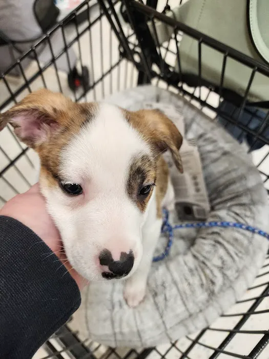 Vetco Total Care Animal Hospital Picture 8