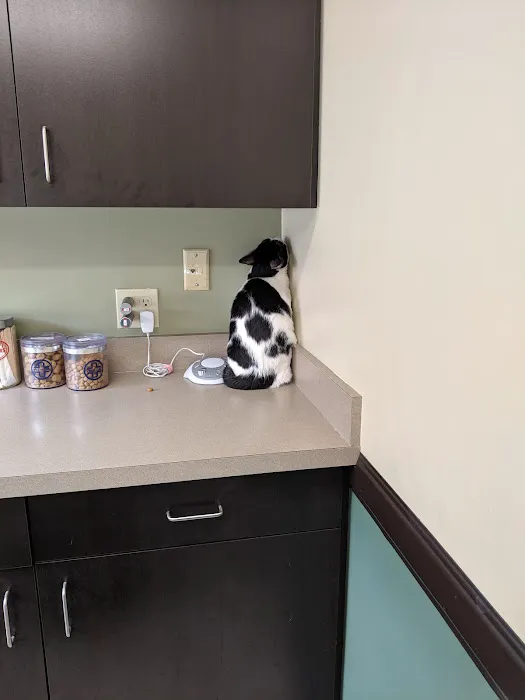 VCA Rotherwood Animal Hospital Picture 1